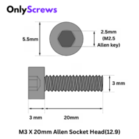 M3X20mmAllenSocketHead_12.9